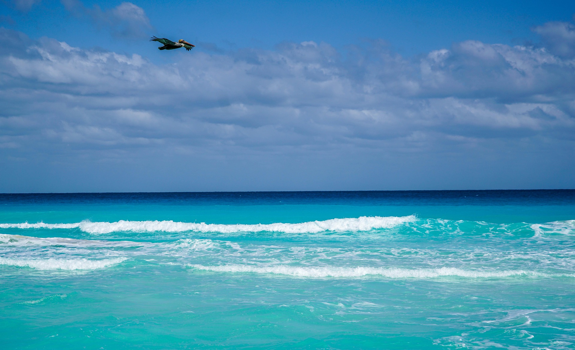 Beautiful Cancun marina and coastline